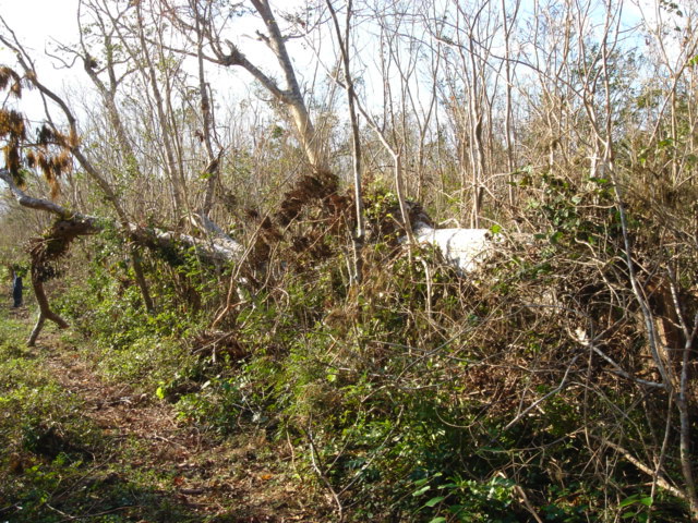 dsc00519.jpg